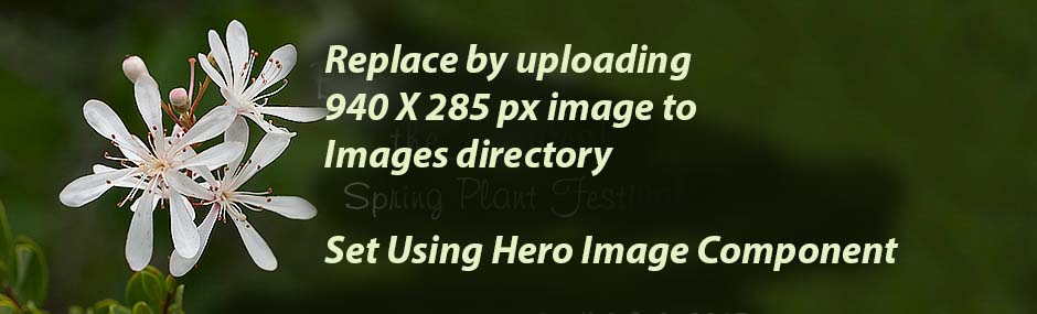 Test 3